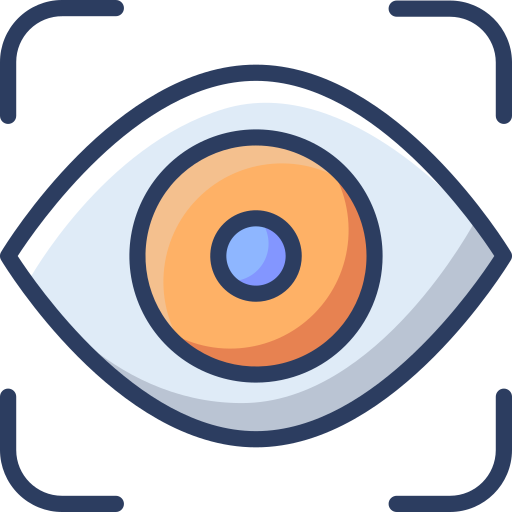 Vision